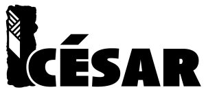 Académie des César <span class="text-base font-normal text-nowrap lg:pl-[200px]">France<i class="fa-solid fa-circle text-xs ml-2"></i></span>